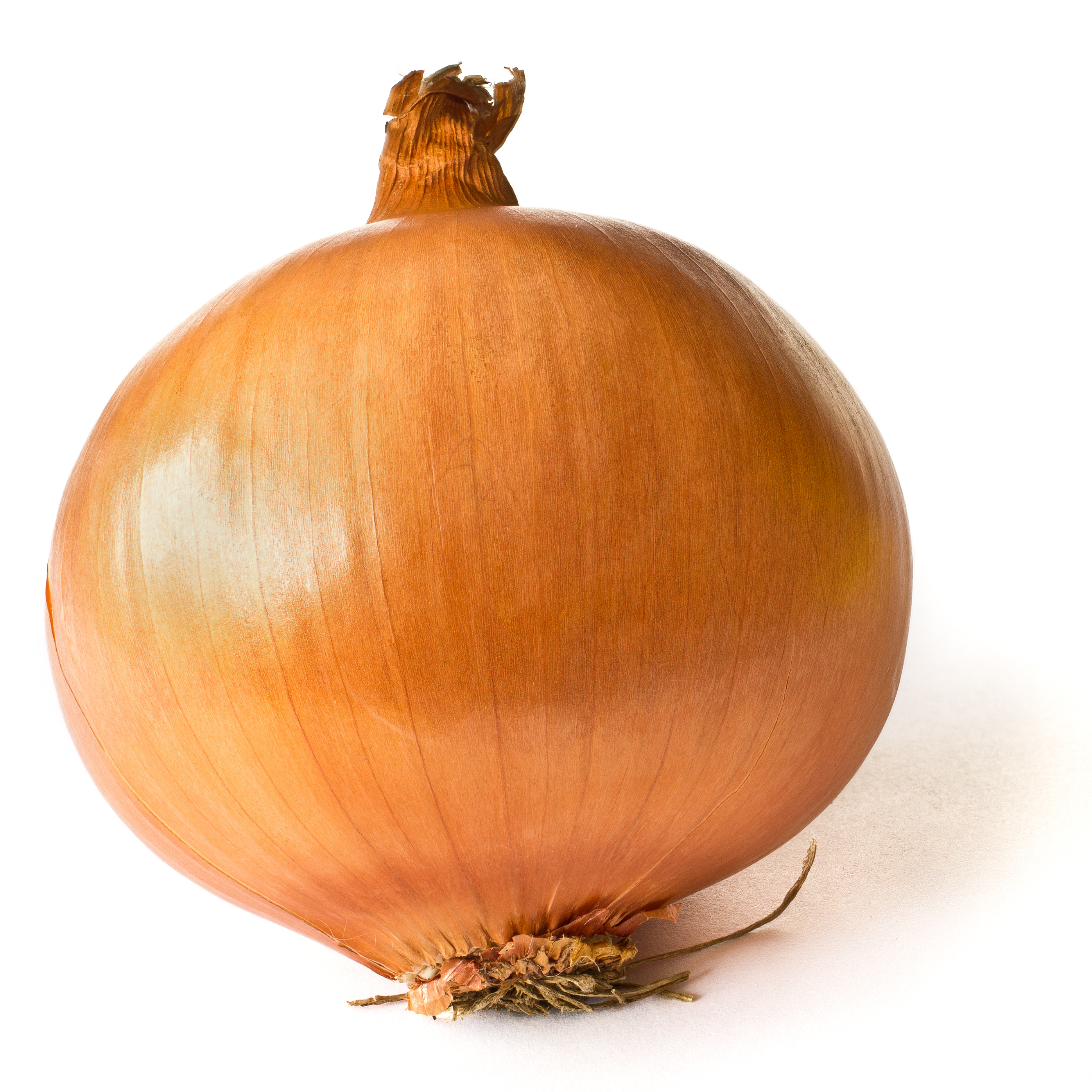 Cebolla blanca
