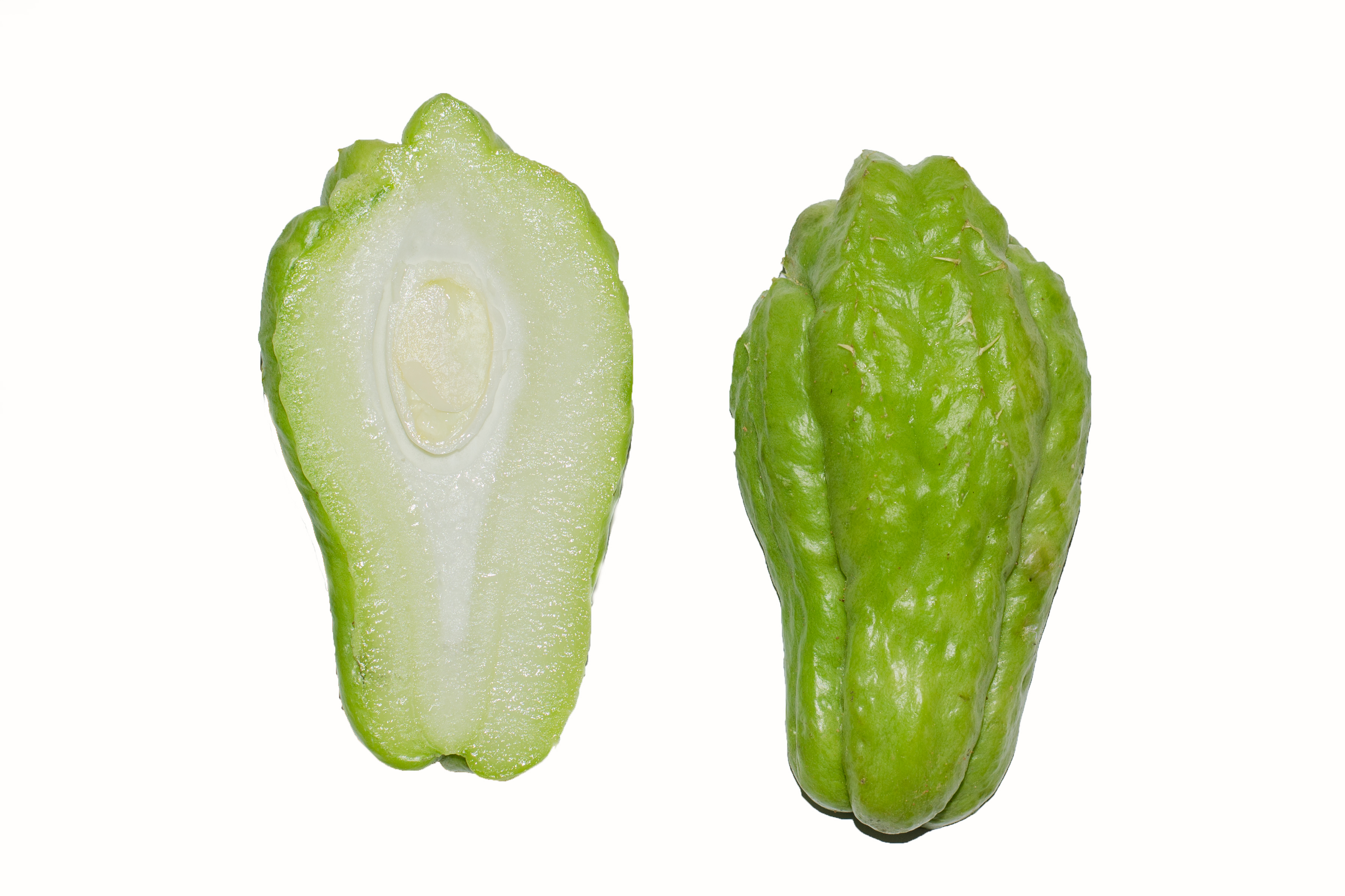 Chayote
