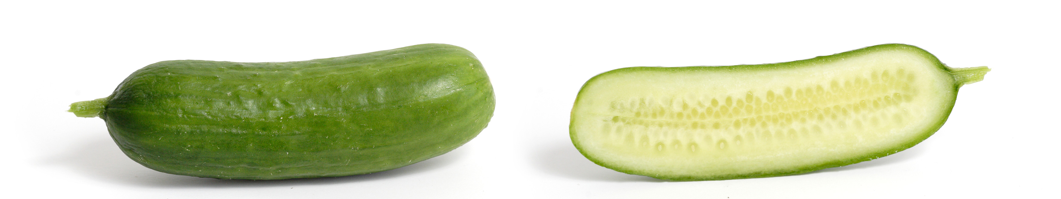 Pepino europeo